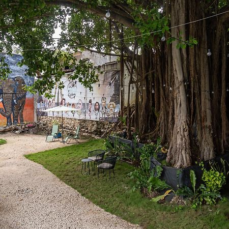 La Quinta Caribena Apartment Playa del Carmen Ngoại thất bức ảnh