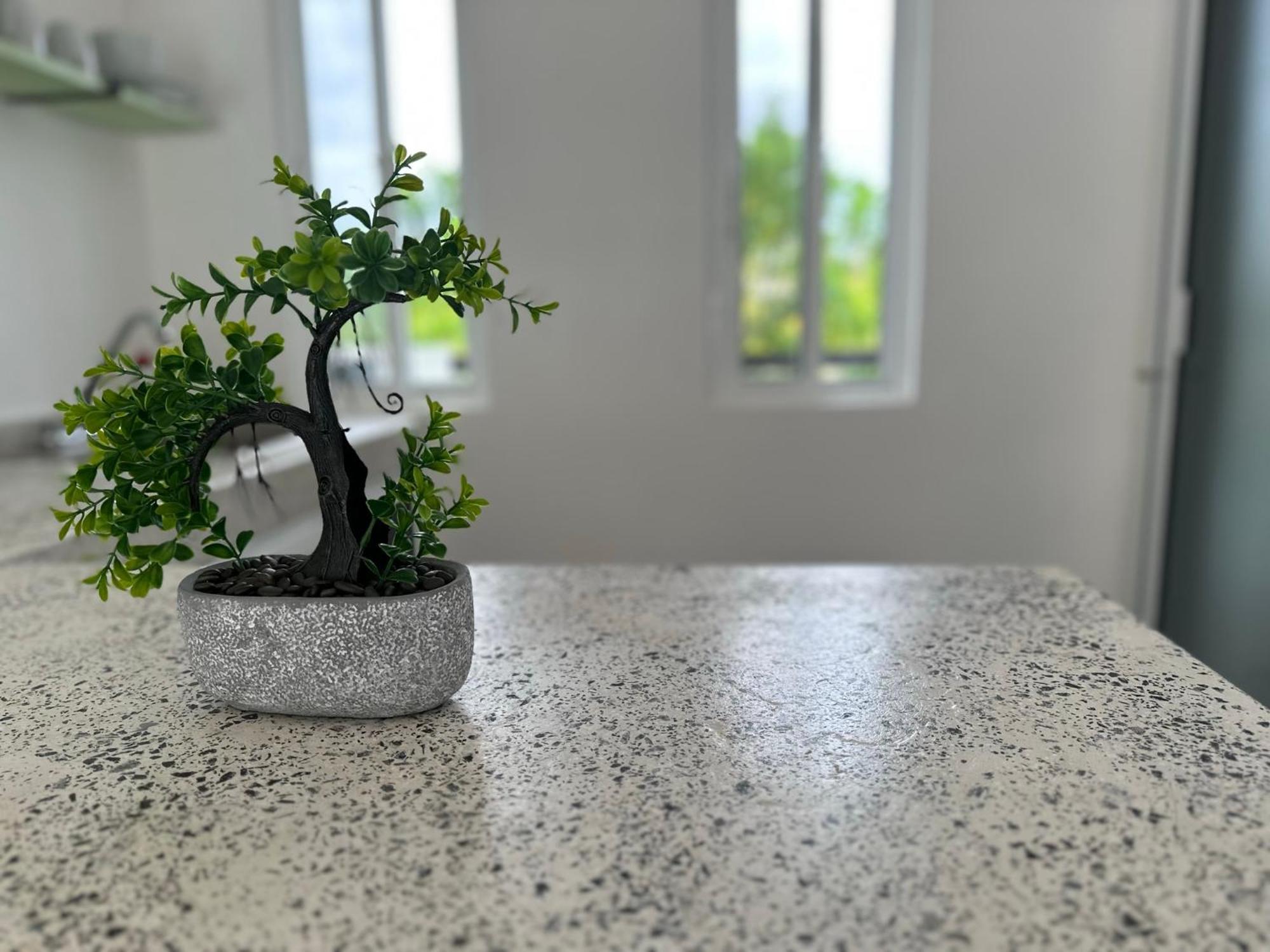 La Quinta Caribena Apartment Playa del Carmen Ngoại thất bức ảnh