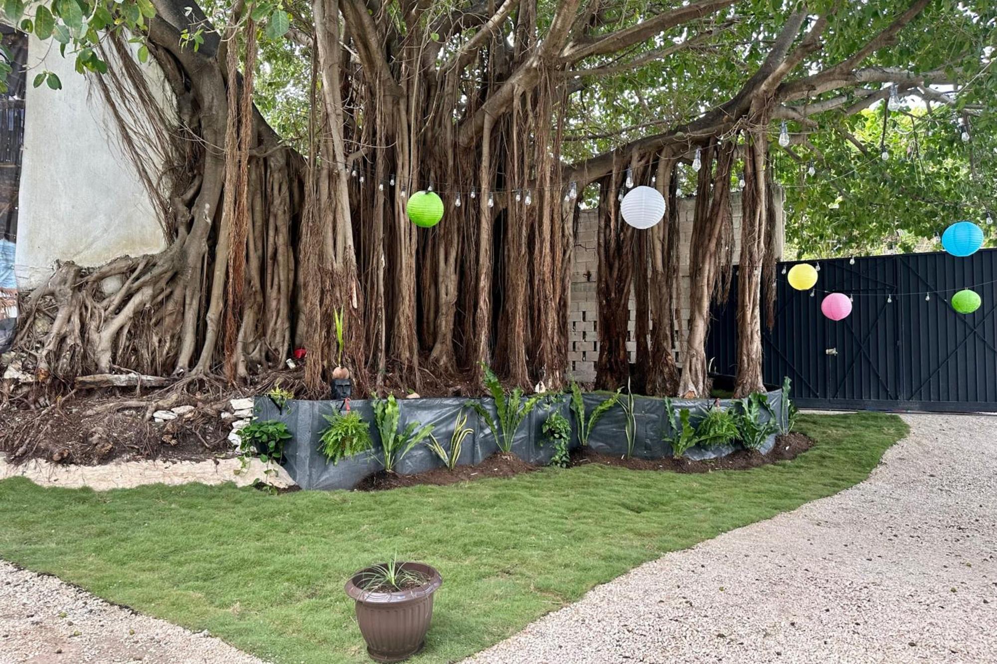 La Quinta Caribena Apartment Playa del Carmen Ngoại thất bức ảnh